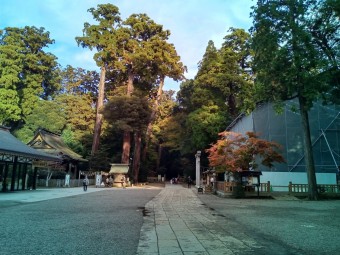 鹿島06 cfdcec456285aa21ceb4d91290ef0e03